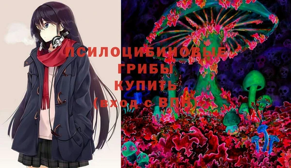 марки nbome Новозыбков