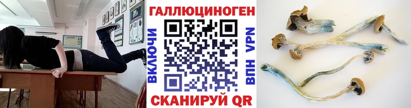 Купить где  Сыктывкар  Псилоцибиновые грибы Psilocybe 